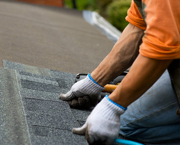Quick and Trustworthy Emergency Roof Repair Services in Whitehall, MI