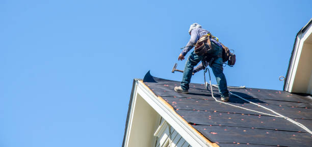 Best Shingle Roofing Installation  in Whitehall, MI